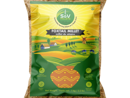 SV Foxtail Millet on Sale